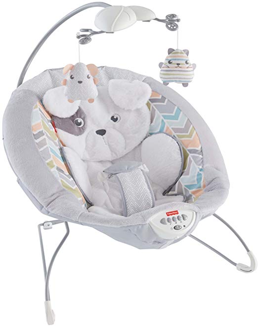 6 Best Baby Bouncers