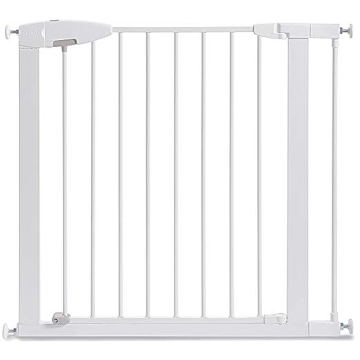 6 Best Baby Gates